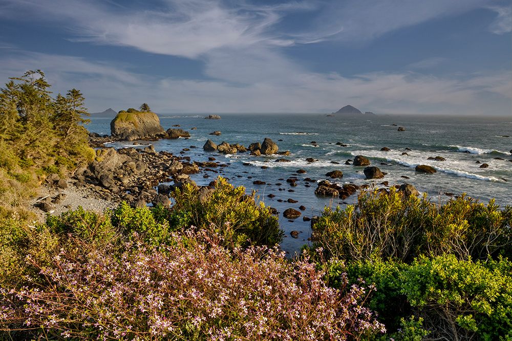 USA, California, Crescent City. Seastack along coastline art print by Darrell Gulin for $57.95 CAD