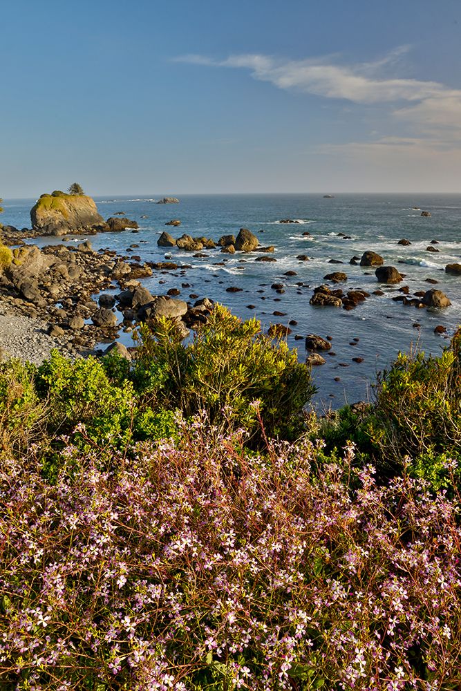 USA, California, Crescent City. Seastack along coastline art print by Darrell Gulin for $57.95 CAD