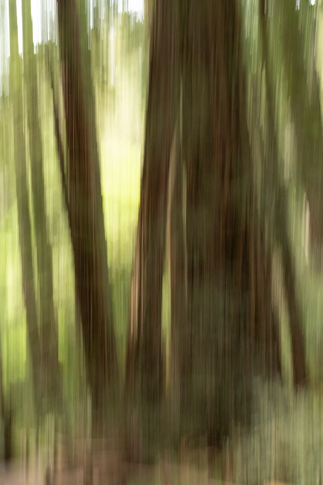 Abstract trees art print by George and Marilu Theodore for $57.95 CAD