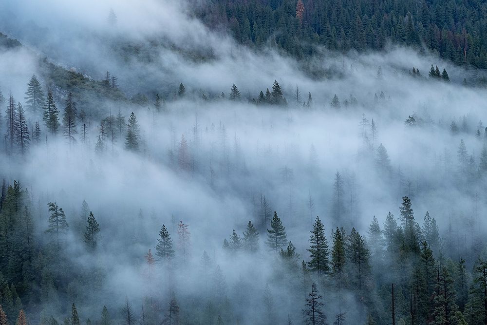 Mist at Yosemite Tunnel View art print by George and Marilu Theodore for $57.95 CAD