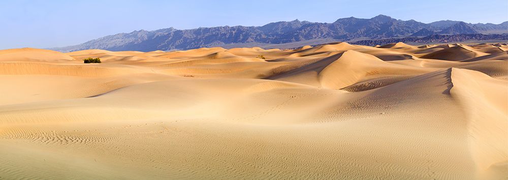 Death Valley. Landscape of Mesquite Flats Sand Dunes. art print by Janet Muir for $57.95 CAD