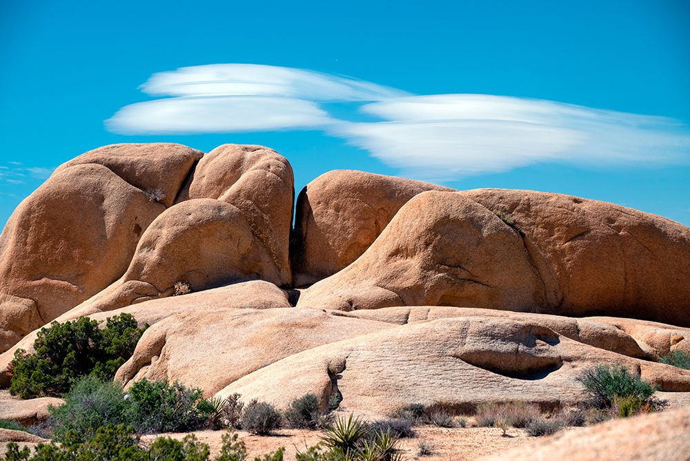USA-California Joshua Tree National Park rock formations art print by Janell Davidson for $57.95 CAD