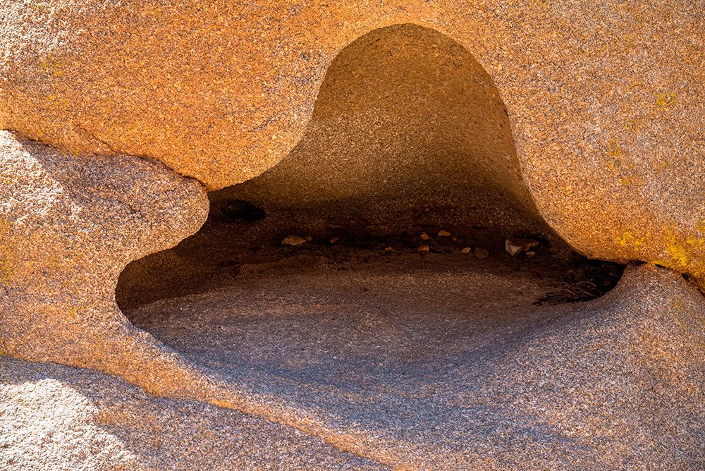 USA-California Joshua Tree National Park-close-up of rock formation art print by Janell Davidson for $57.95 CAD