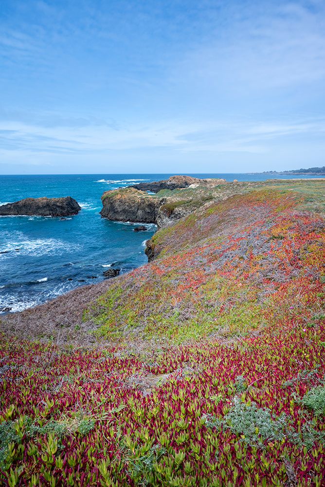 USA-California Pacific Ocean-cliffs edge in Mendocino Headlands State Park art print by Janell Davidson for $57.95 CAD