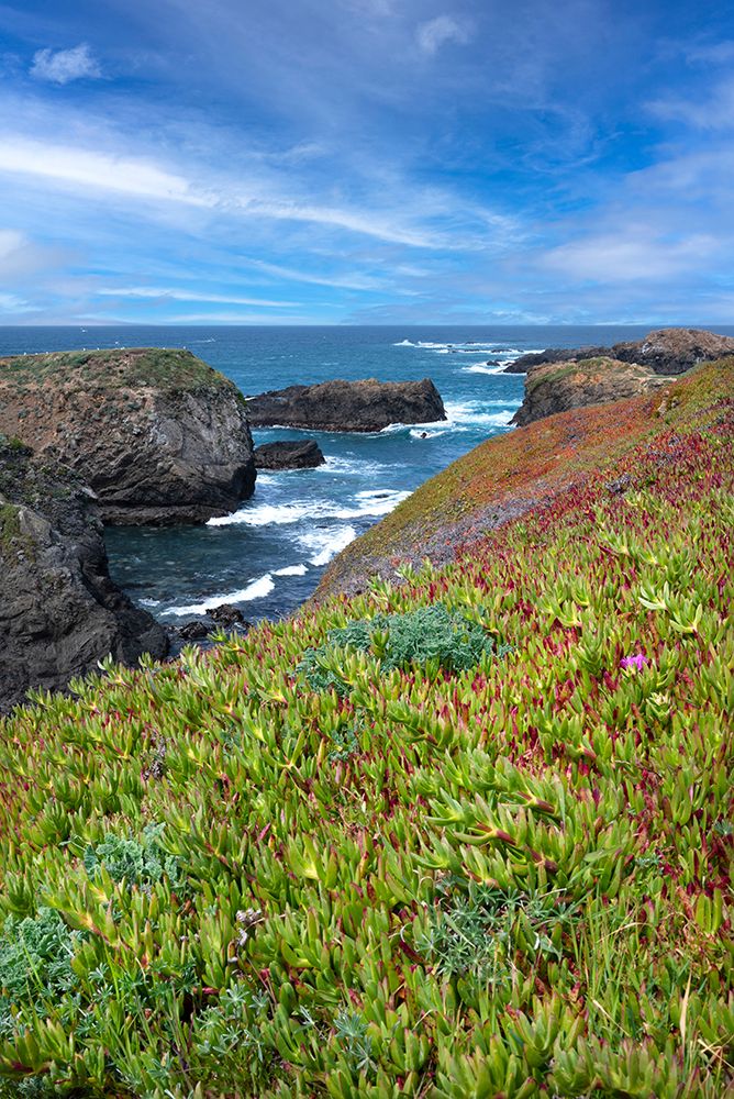 USA-California Pacific Ocean-Mendocino Headlands State Park art print by Janell Davidson for $57.95 CAD