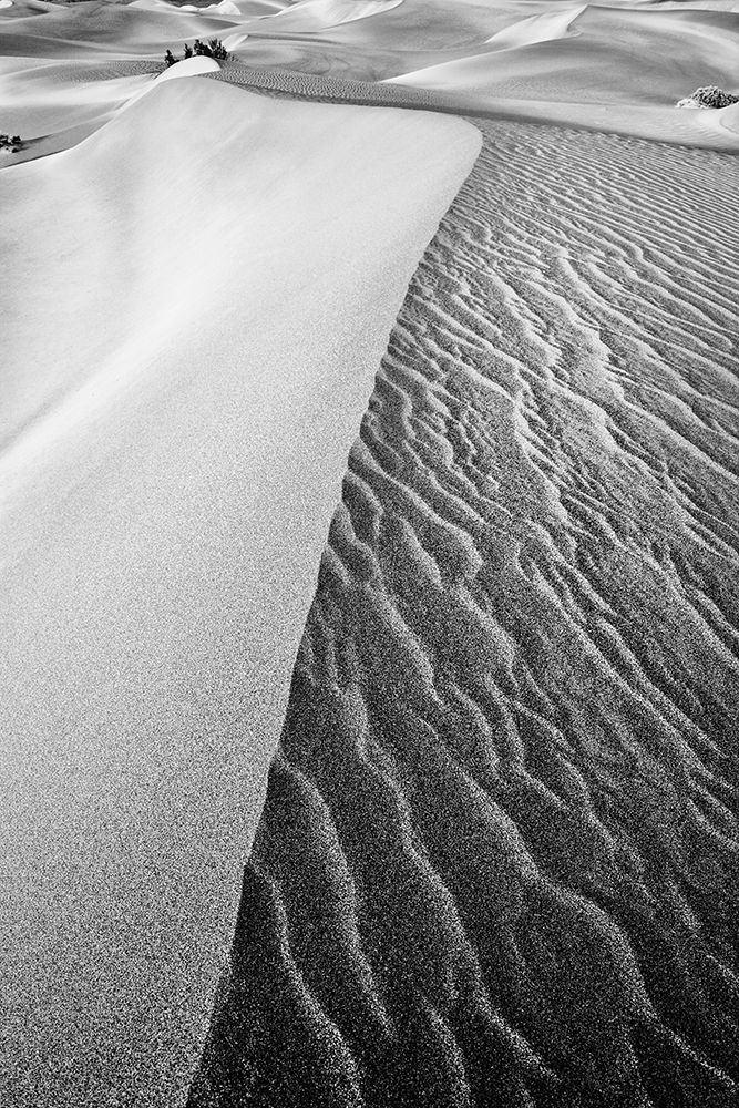 Dune Abstract-Death Valley art print by John Ford for $57.95 CAD
