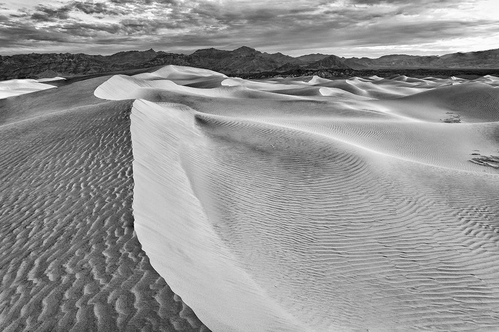 Mesquite Dunes-Death Valley National Park-California art print by John Ford for $57.95 CAD