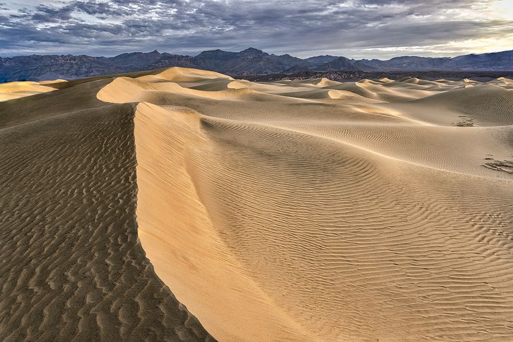 Mesquite Dunes-Death Valley National Park-California art print by John Ford for $57.95 CAD