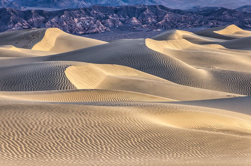 Mesquite Dunes-Death Valley National Park-California art print by John Ford for $57.95 CAD