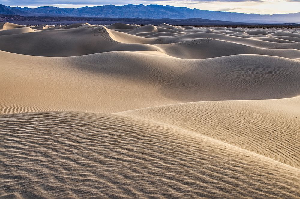 Mesquite Dunes-Death Valley National Park-California art print by John Ford for $57.95 CAD
