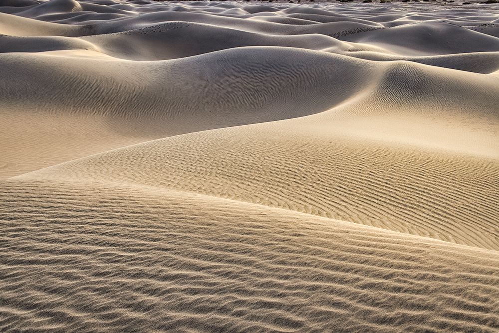 Mesquite Dunes-Death Valley National Park-California art print by John Ford for $57.95 CAD