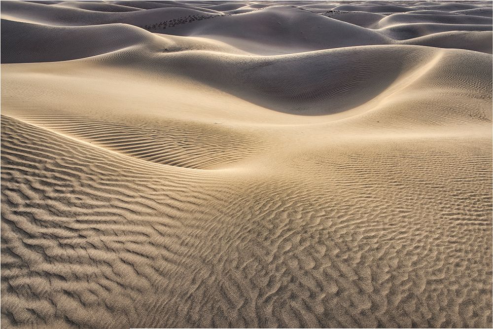 Mesquite Dunes-Death Valley National Park-California art print by John Ford for $57.95 CAD
