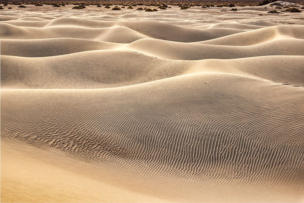 Mesquite Dunes-Death Valley National Park-California art print by John Ford for $57.95 CAD