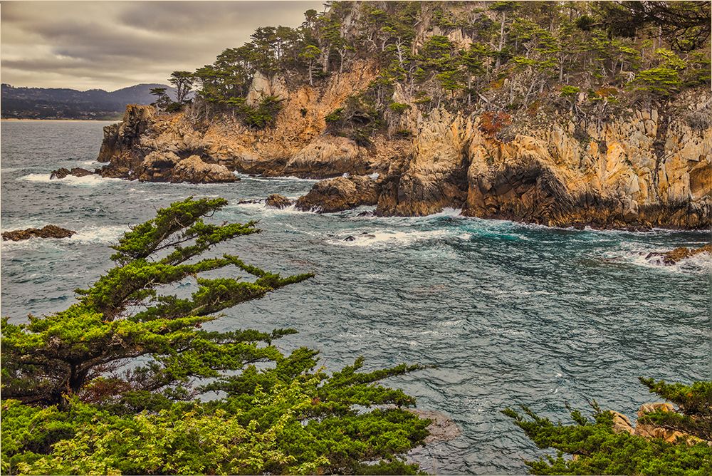 Point Lobos-Carmel-California art print by John Ford for $57.95 CAD