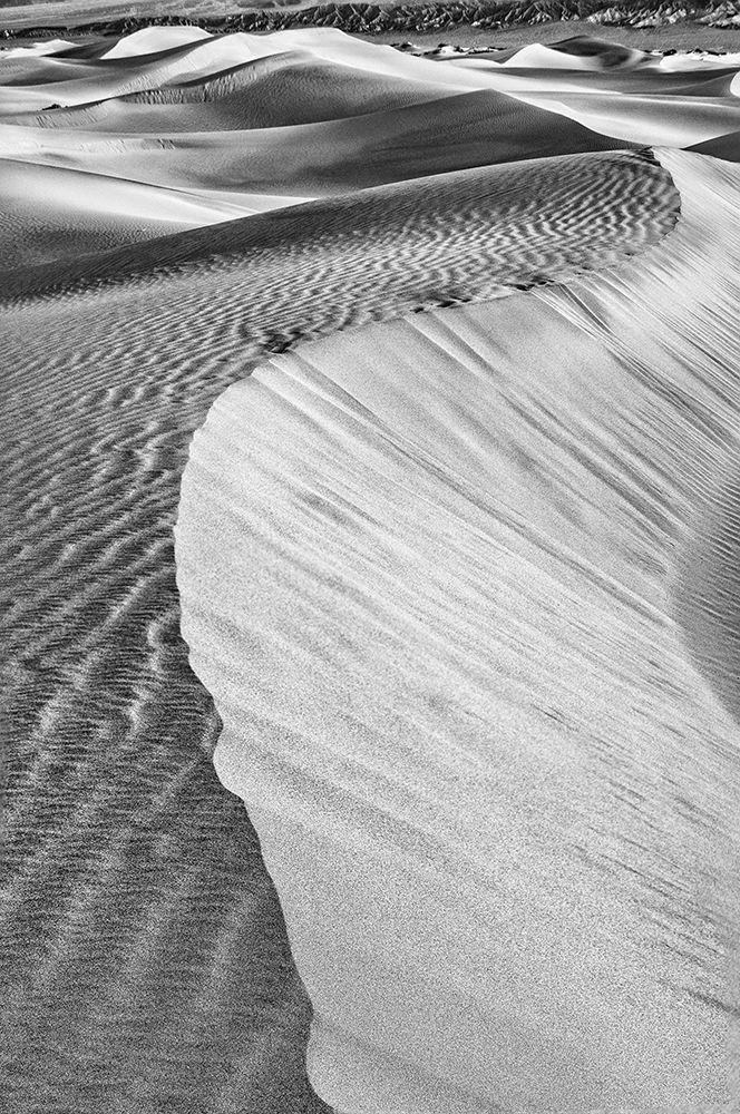 Mesquite Dunes-Death Valley National Park-California art print by John Ford for $57.95 CAD
