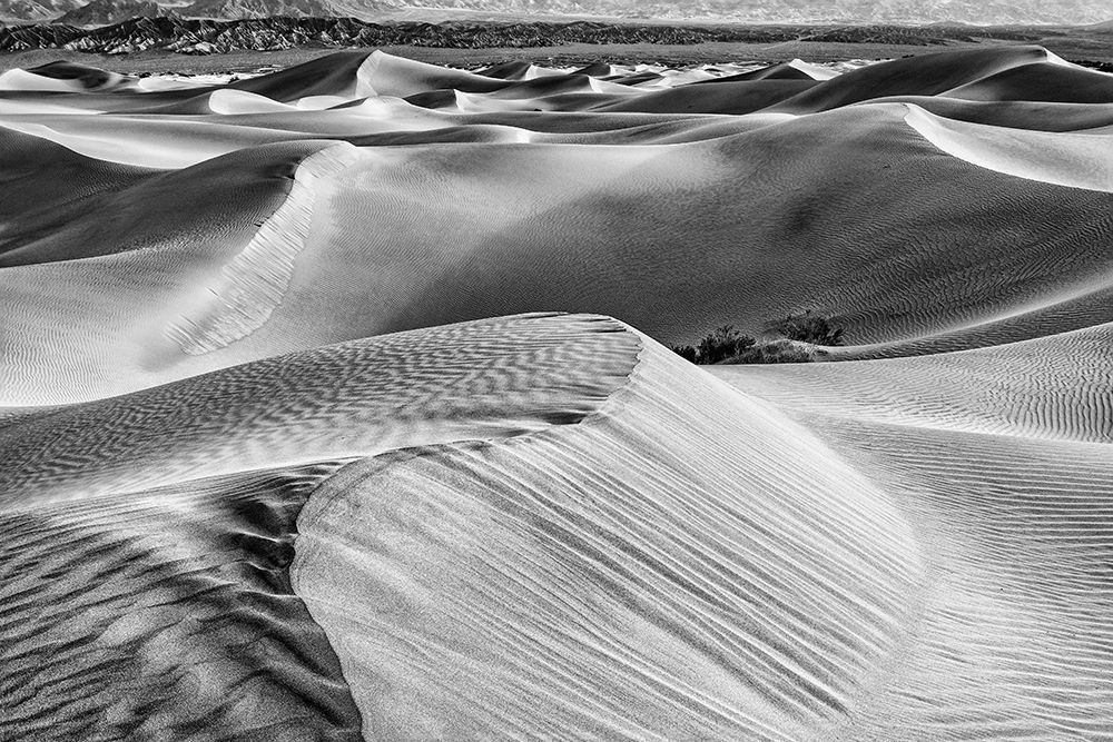 Mesquite Dunes-Death Valley National Park-California art print by John Ford for $57.95 CAD