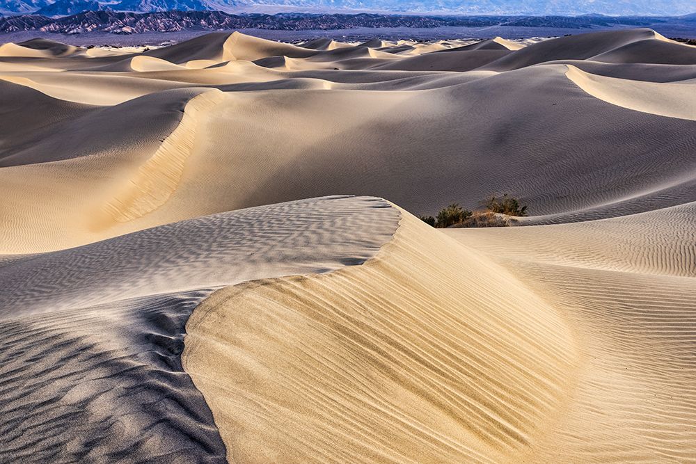 Mesquite Dunes-Death Valley National Park-California art print by John Ford for $57.95 CAD