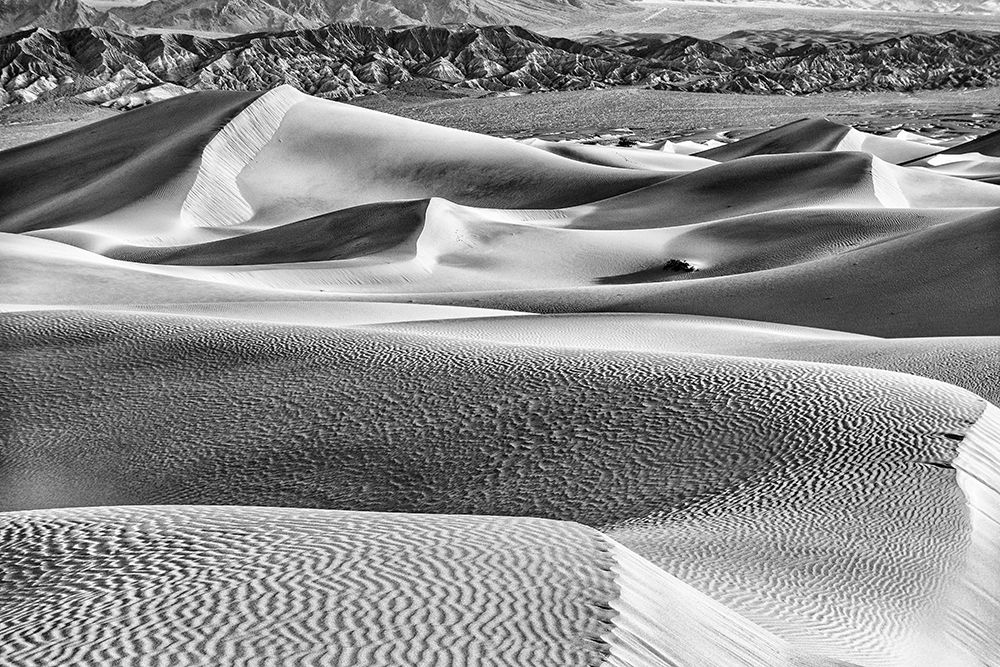 Mesquite Dunes-Death Valley National Park-California art print by John Ford for $57.95 CAD