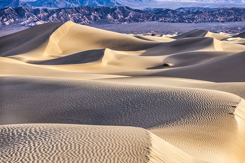 Mesquite Dunes-Death Valley National Park-California art print by John Ford for $57.95 CAD
