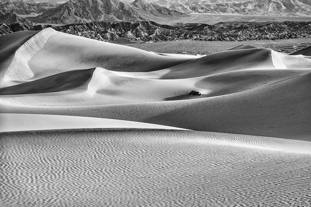 Mesquite Dunes-Death Valley National Park-California art print by John Ford for $57.95 CAD