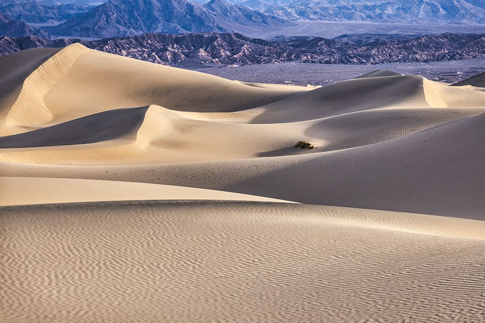 Mesquite Dunes-Death Valley National Park-California art print by John Ford for $57.95 CAD