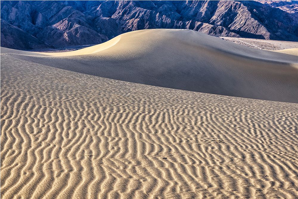 Mesquite Dunes-Death Valley National Park-California art print by John Ford for $57.95 CAD