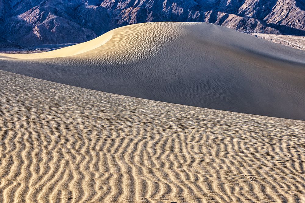 Mesquite Dunes-Death Valley National Park-California art print by John Ford for $57.95 CAD