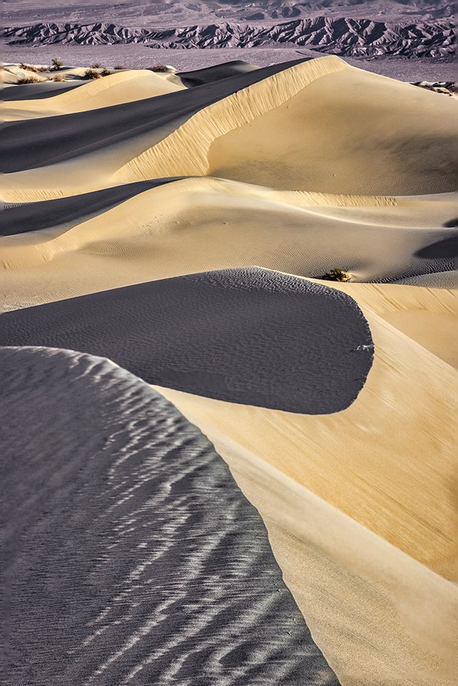 Mesquite Dunes-Death Valley National Park-California art print by John Ford for $57.95 CAD