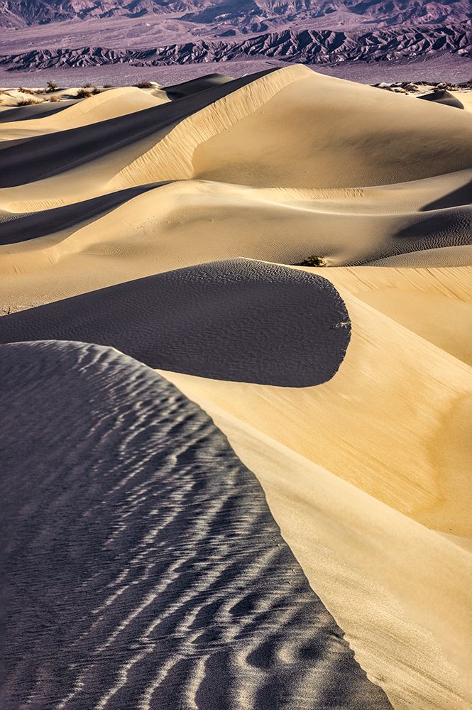 Mesquite Dunes-Death Valley National Park-California art print by John Ford for $57.95 CAD