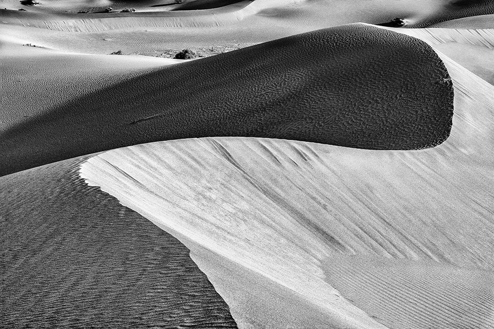 Mesquite Dunes-Death Valley National Park-California art print by John Ford for $57.95 CAD