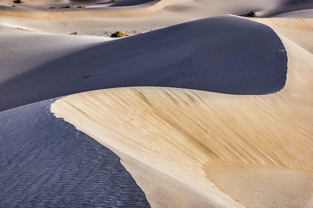 Mesquite Dunes-Death Valley National Park-California art print by John Ford for $57.95 CAD