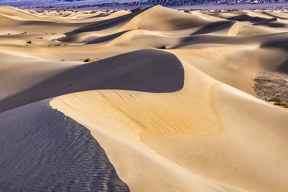 Mesquite Dunes-Death Valley National Park-California art print by John Ford for $57.95 CAD