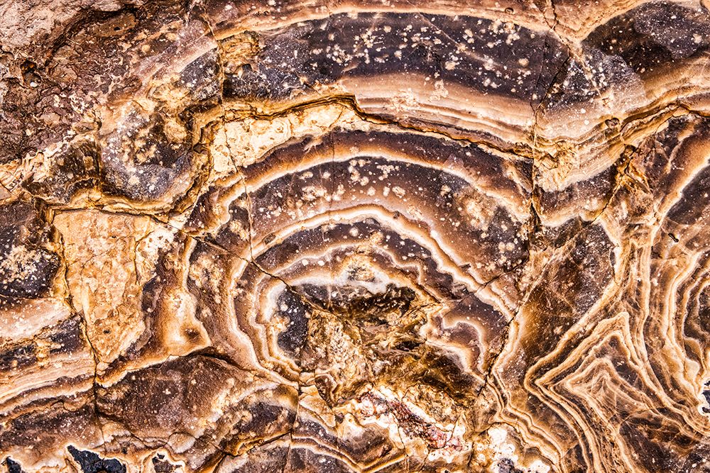 Marble Abstract-Titus Canyon-Death Valley art print by John Ford for $57.95 CAD