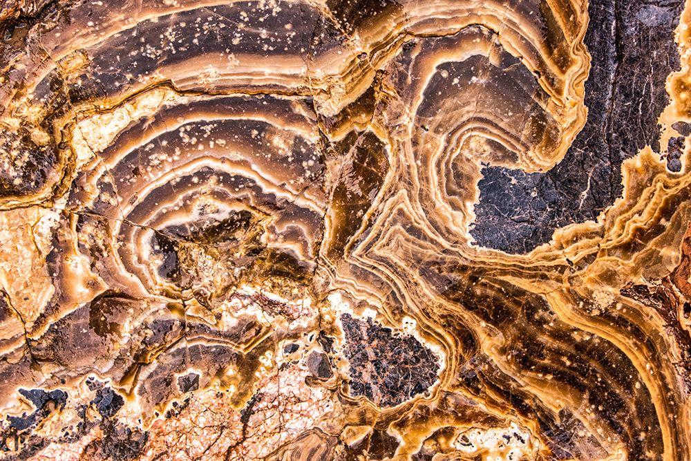 Marble Abstract-Titus Canyon-Death Valley art print by John Ford for $57.95 CAD