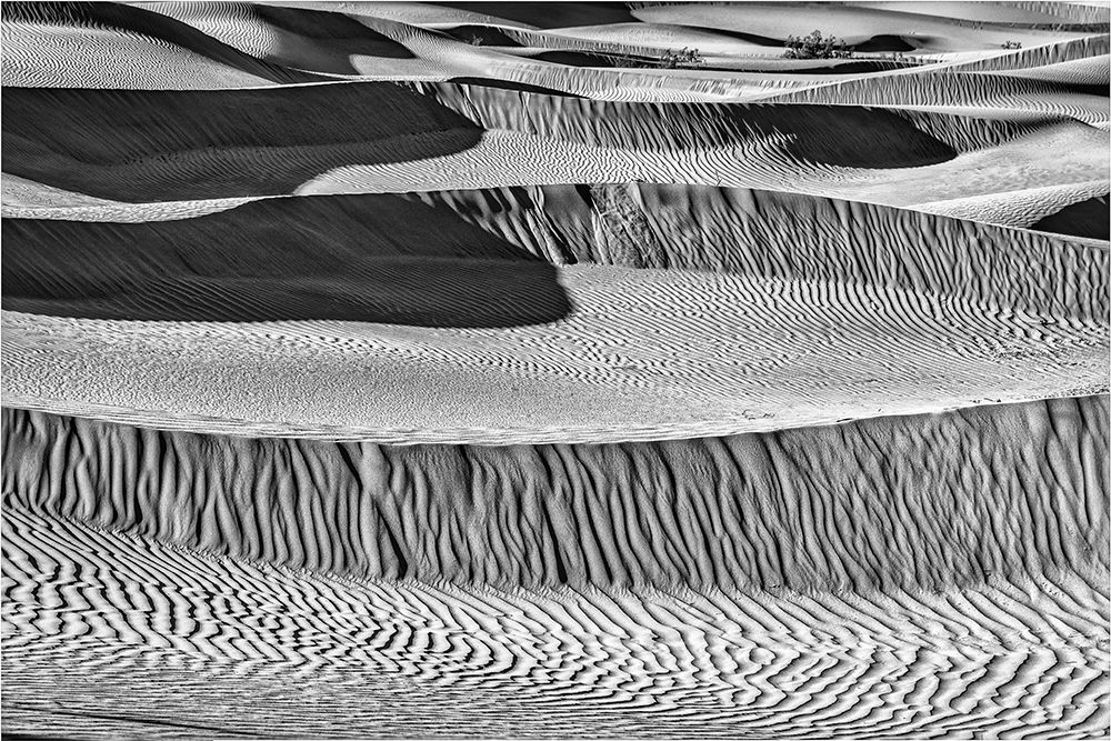Mesquite Dunes-Death Valley National Park-California art print by John Ford for $57.95 CAD