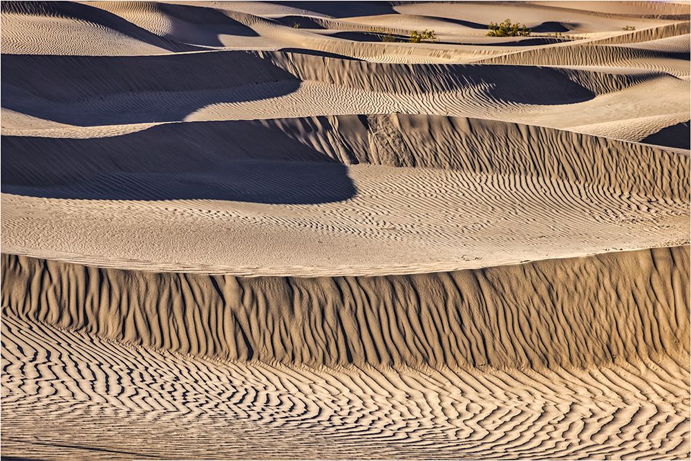 Mesquite Dunes-Death Valley National Park-California art print by John Ford for $57.95 CAD