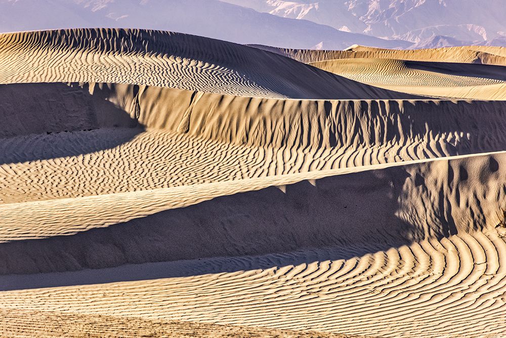 Mesquite Dunes-Death Valley National Park-California art print by John Ford for $57.95 CAD