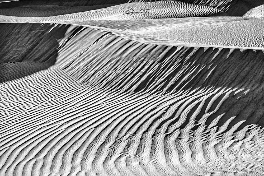 Mesquite Dunes-Death Valley National Park-California art print by John Ford for $57.95 CAD