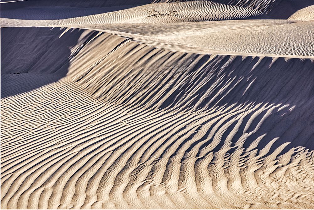 Mesquite Dunes-Death Valley National Park-California art print by John Ford for $57.95 CAD