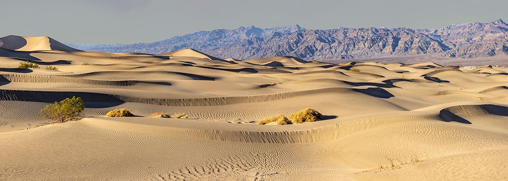 Mesquite Dunes-Death Valley National Park-California art print by John Ford for $57.95 CAD