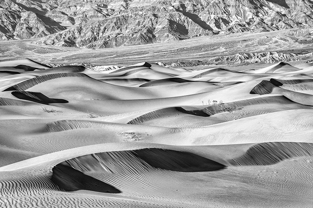 Mesquite Dunes-Death Valley National Park-California art print by John Ford for $57.95 CAD