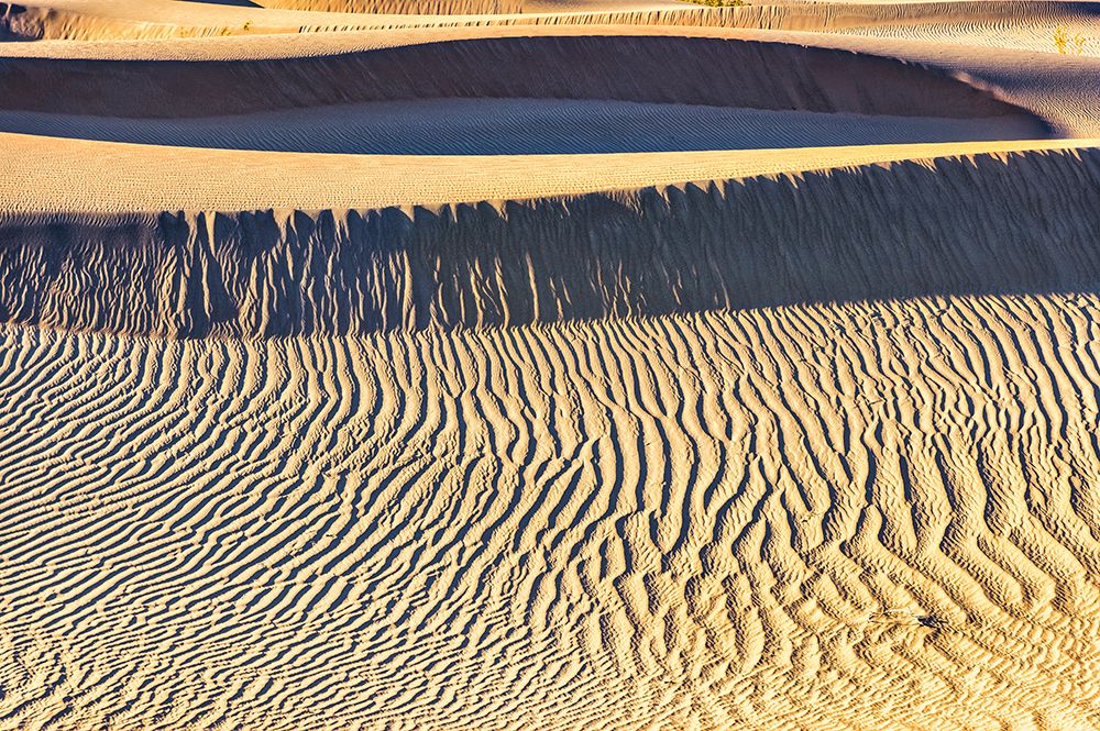 Mesquite Dunes-Death Valley National Park-California art print by John Ford for $57.95 CAD