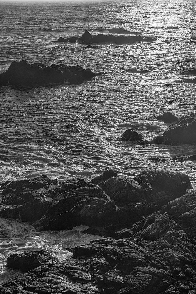 China Cove-Point Lobos-California art print by John Ford for $57.95 CAD