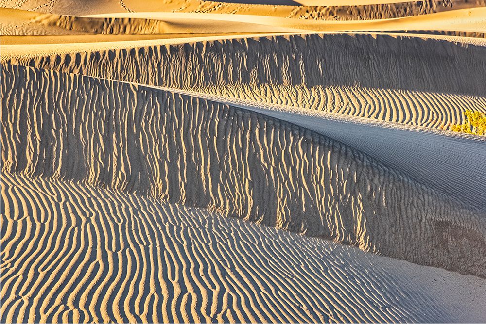 Mesquite Dunes-Death Valley National Park-California art print by John Ford for $57.95 CAD