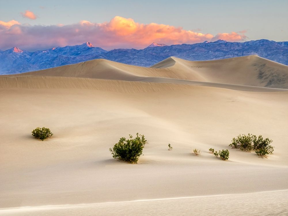 California Death Valley National Park-Mesquite Flat Sand Dunes art print by Jamie and Judy Wild for $57.95 CAD