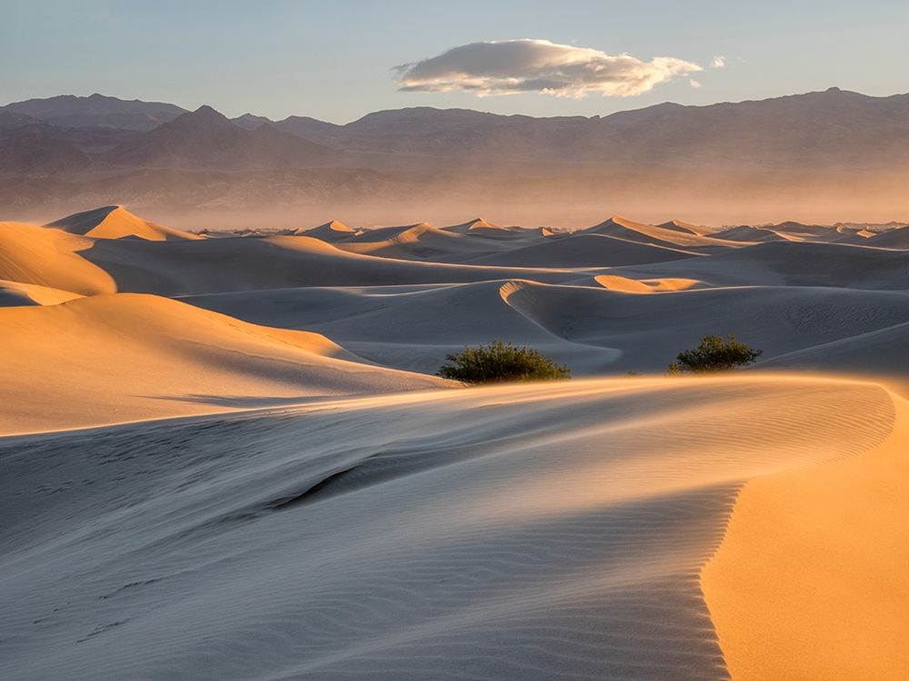 California Death Valley National Park-Mesquite Flat Sand Dunes art print by Jamie and Judy Wild for $57.95 CAD