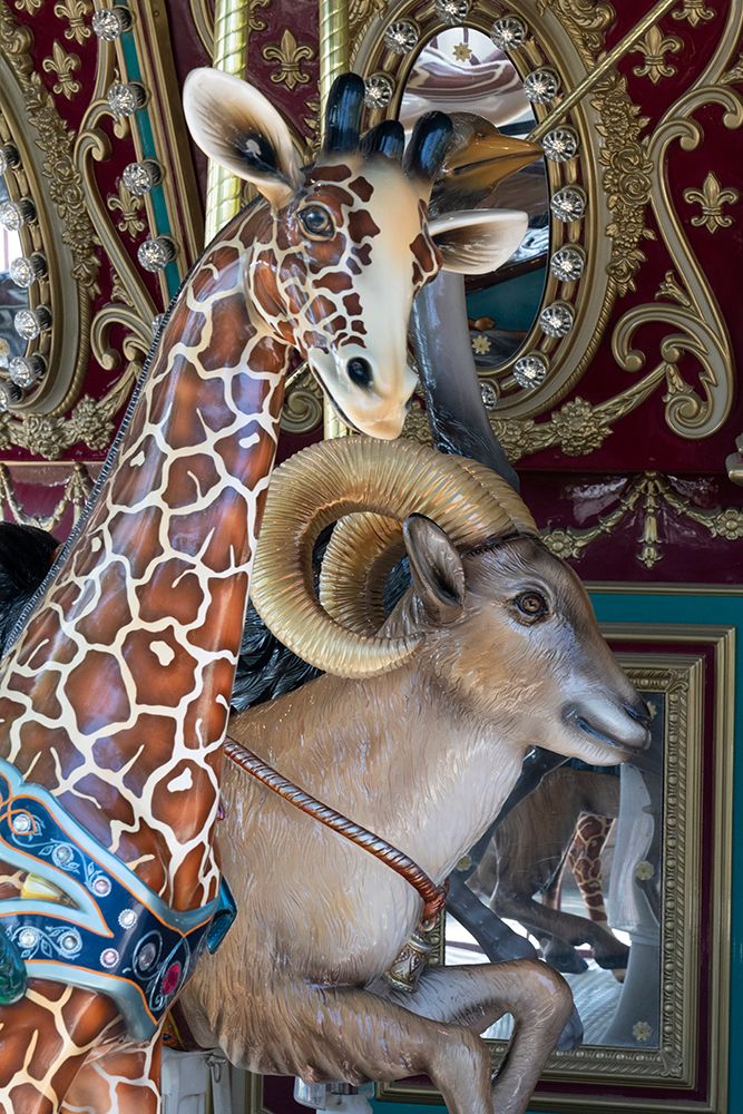 USA-California Carousel at the Living Desert Zoo and Gardens-Palm Desert art print by Judith Zimmerman for $57.95 CAD