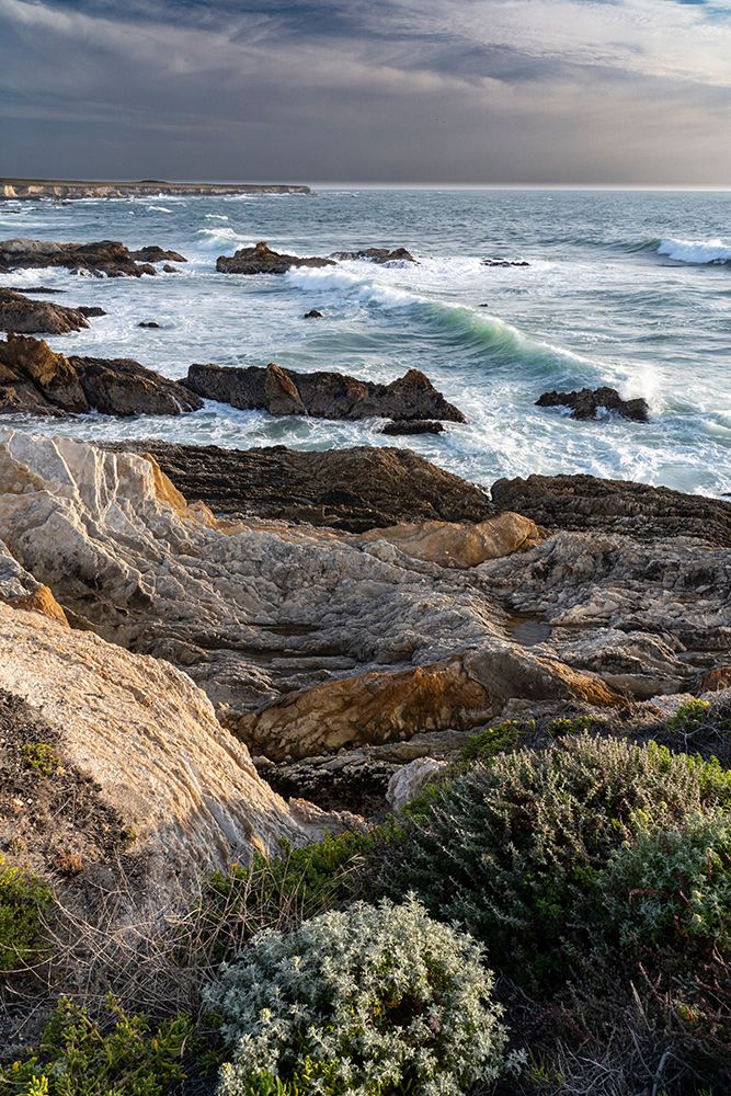USA-California Montana de Oro State Park art print by Judith Zimmerman for $57.95 CAD