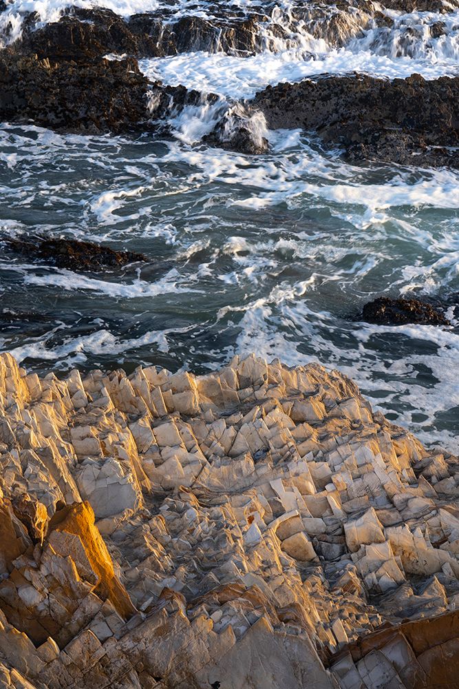 USA-California Montana de Oro State Park art print by Judith Zimmerman for $57.95 CAD