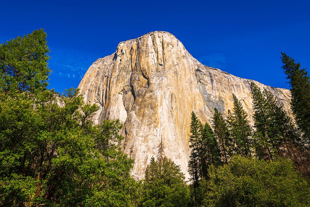 El Capitan-Yosemite Valley-Yosemite National Park-California-USA art print by Russ Bishop for $57.95 CAD